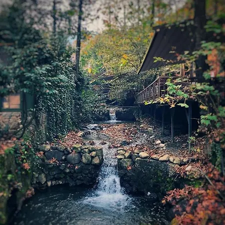 Yazicilar Bed and breakfast Masukiye