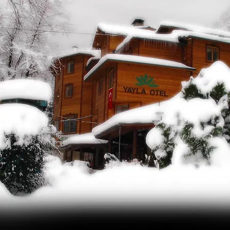 Yazicilar 3* Masukiye