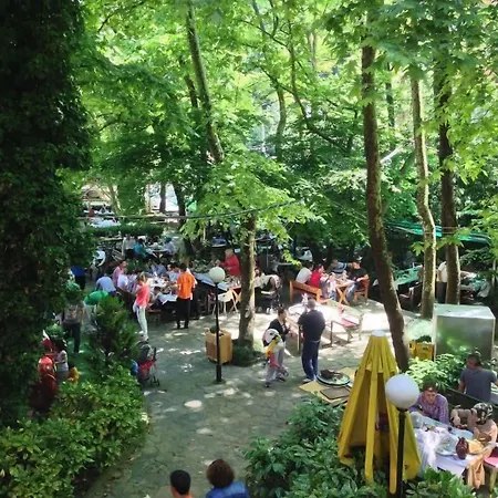 Bed and breakfast Yazicilar