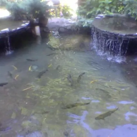 לינה וארוחת בוקר Yazicilar 3*