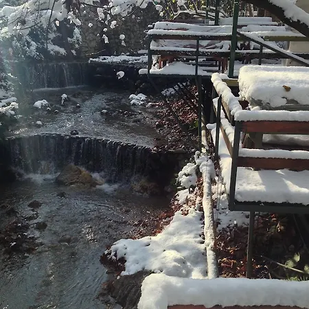 Yazicilar 3* Masukiye