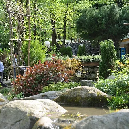 Bed and breakfast Yazicilar