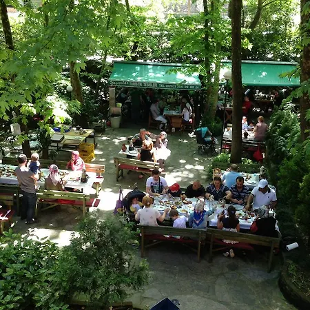 Yazicilar Отель типа 