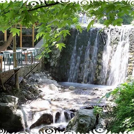 Bed and breakfast Yazicilar Masukiye