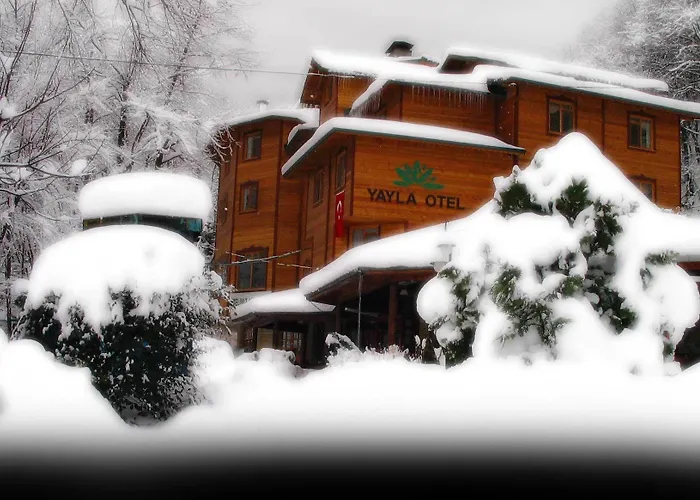 Yazicilar 3* Maşukiye