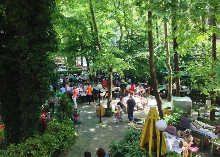 Oda ve Kahvaltı Yazicilar