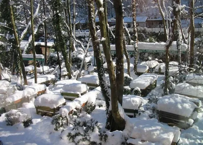 Yazicilar Oda ve Kahvaltı Maşukiye