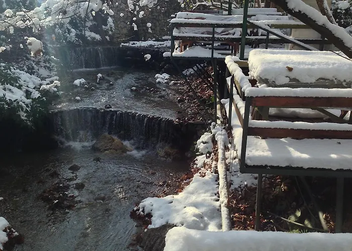 Yazicilar 3* Maşukiye